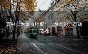 嘉兴实木体育地板：自然之韵，运动之魂