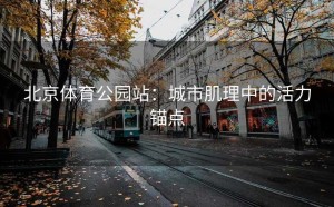 北京体育公园站：城市肌理中的活力锚点