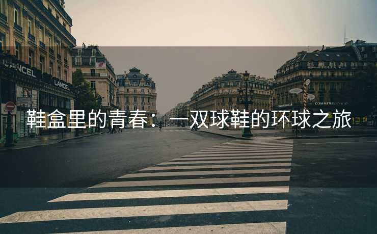 鞋盒里的青春：一双球鞋的环球之旅