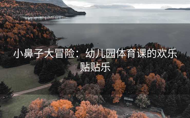 小鼻子大冒险：幼儿园体育课的欢乐贴贴乐