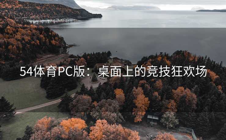 54体育PC版：桌面上的竞技狂欢场