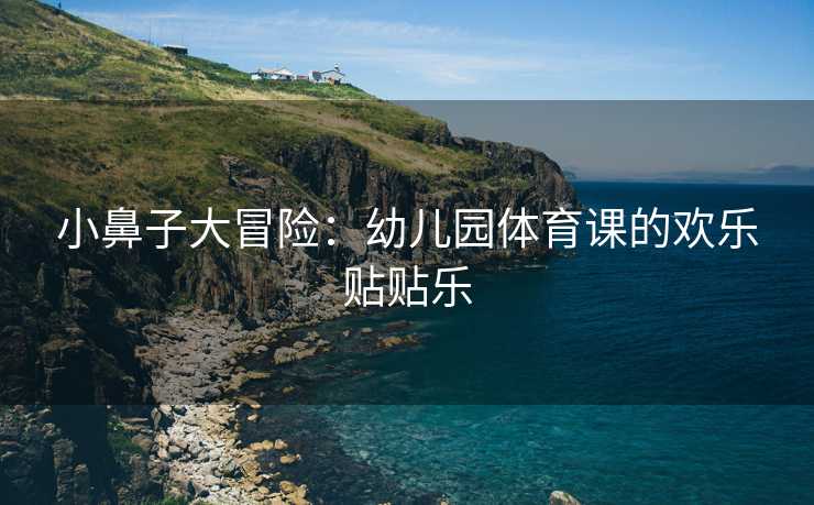 小鼻子大冒险：幼儿园体育课的欢乐贴贴乐