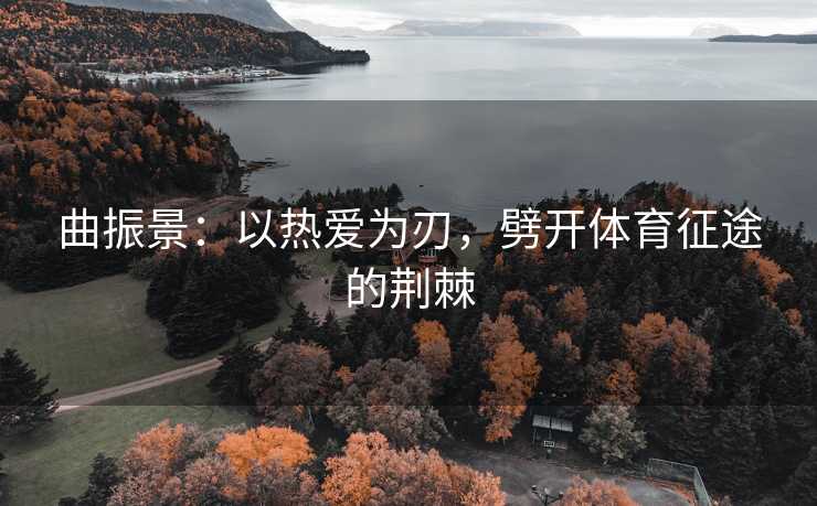 曲振景：以热爱为刃，劈开体育征途的荆棘