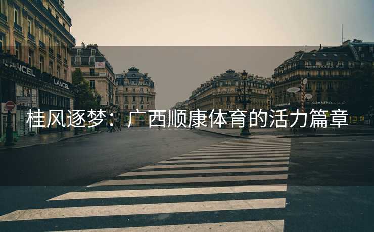 桂风逐梦：广西顺康体育的活力篇章