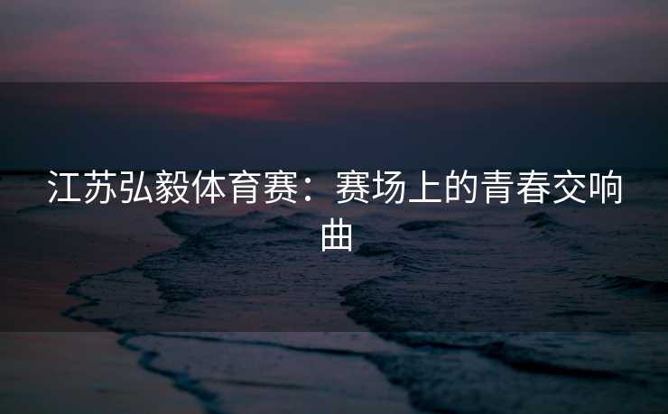 江苏弘毅体育赛：赛场上的青春交响曲