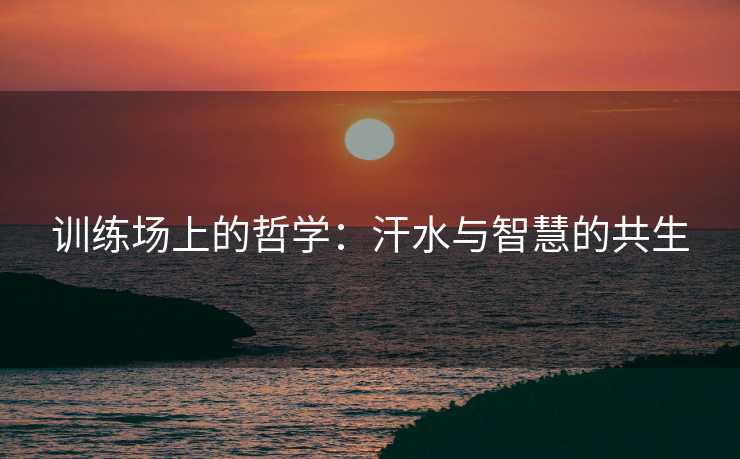 训练场上的哲学：汗水与智慧的共生