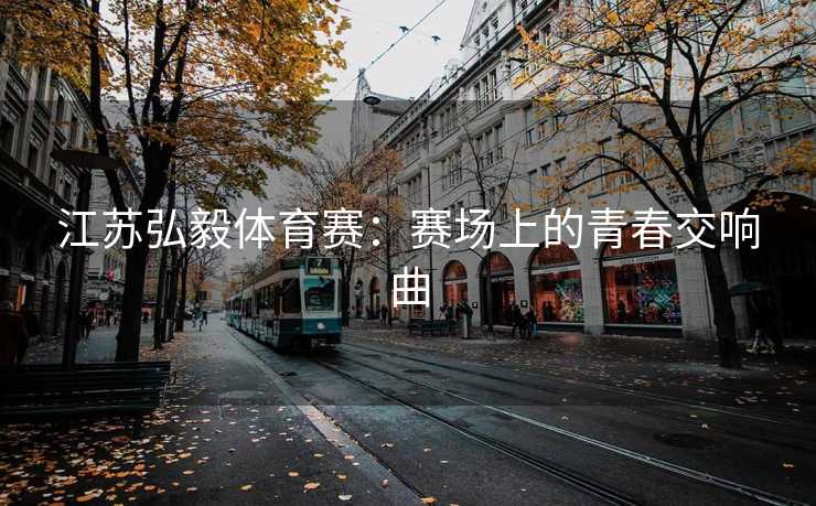 江苏弘毅体育赛：赛场上的青春交响曲