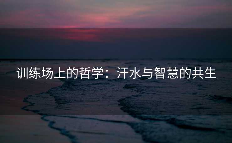 训练场上的哲学：汗水与智慧的共生