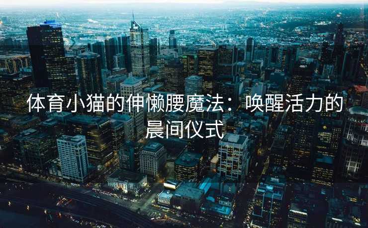 体育小猫的伸懒腰魔法：唤醒活力的晨间仪式