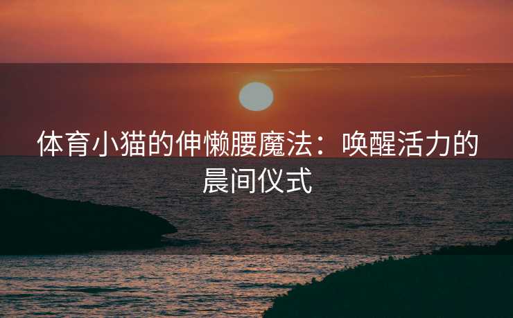 体育小猫的伸懒腰魔法：唤醒活力的晨间仪式