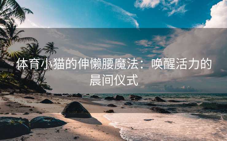 体育小猫的伸懒腰魔法：唤醒活力的晨间仪式