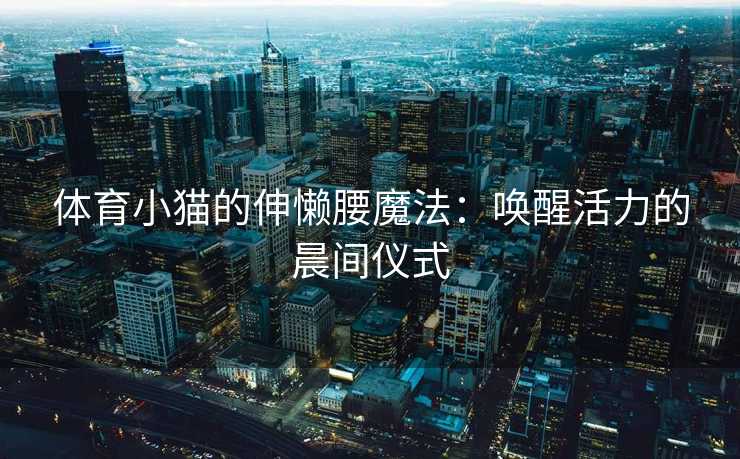 体育小猫的伸懒腰魔法:唤醒活力的晨间仪式 体育小猫的伸懒腰魔法:唤醒活力的晨间仪式