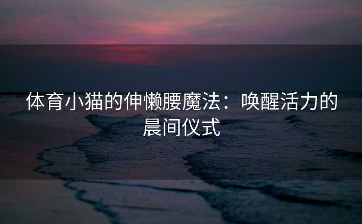 体育小猫的伸懒腰魔法:唤醒活力的晨间仪式 体育小猫的伸懒腰魔法:唤醒活力的晨间仪式